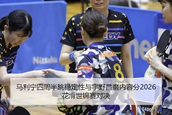 ma-li-ning-si-zhou-ban-tiao-wen-ding-xing-yu-yu-ye-chang-mo-nei-rong-fen-hua-hua-shi-jin-sai-dui-jue-2-556.jpg